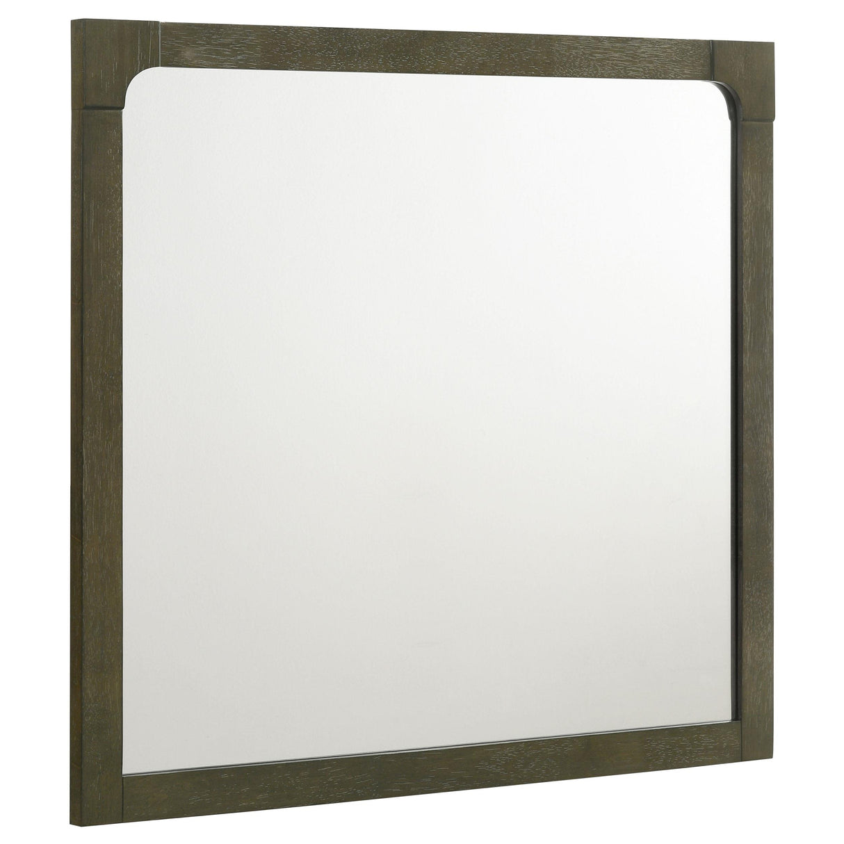 Gran Park Dresser Mirror Dark Cocoa from Coaster - Luna Furniture