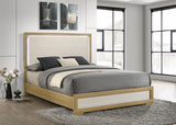 Hyland Wood Queen LED Panel Bed Natural and White from Coaster - Luna Furniture