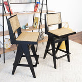 Keira Rattan Bar Stool (Set of 2) - STL00801102