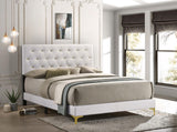 Kendall White/Gold Upholstered Panel Bedroom Set from Coaster - Luna Furniture