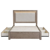 Kenora 56-inch Eastern King LED Storage Bed Barley Brown from Coaster - Luna Furniture