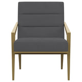 Kirra Dark Grey/Gold Upholstered Accent Armchair with Metal Frame from Coaster - Luna Furniture