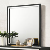 Lucia Dresser Mirror Black from Coaster - Luna Furniture