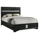 Miranda 55-inch Upholstered California King Panel Bed Black from Coaster - Luna Furniture