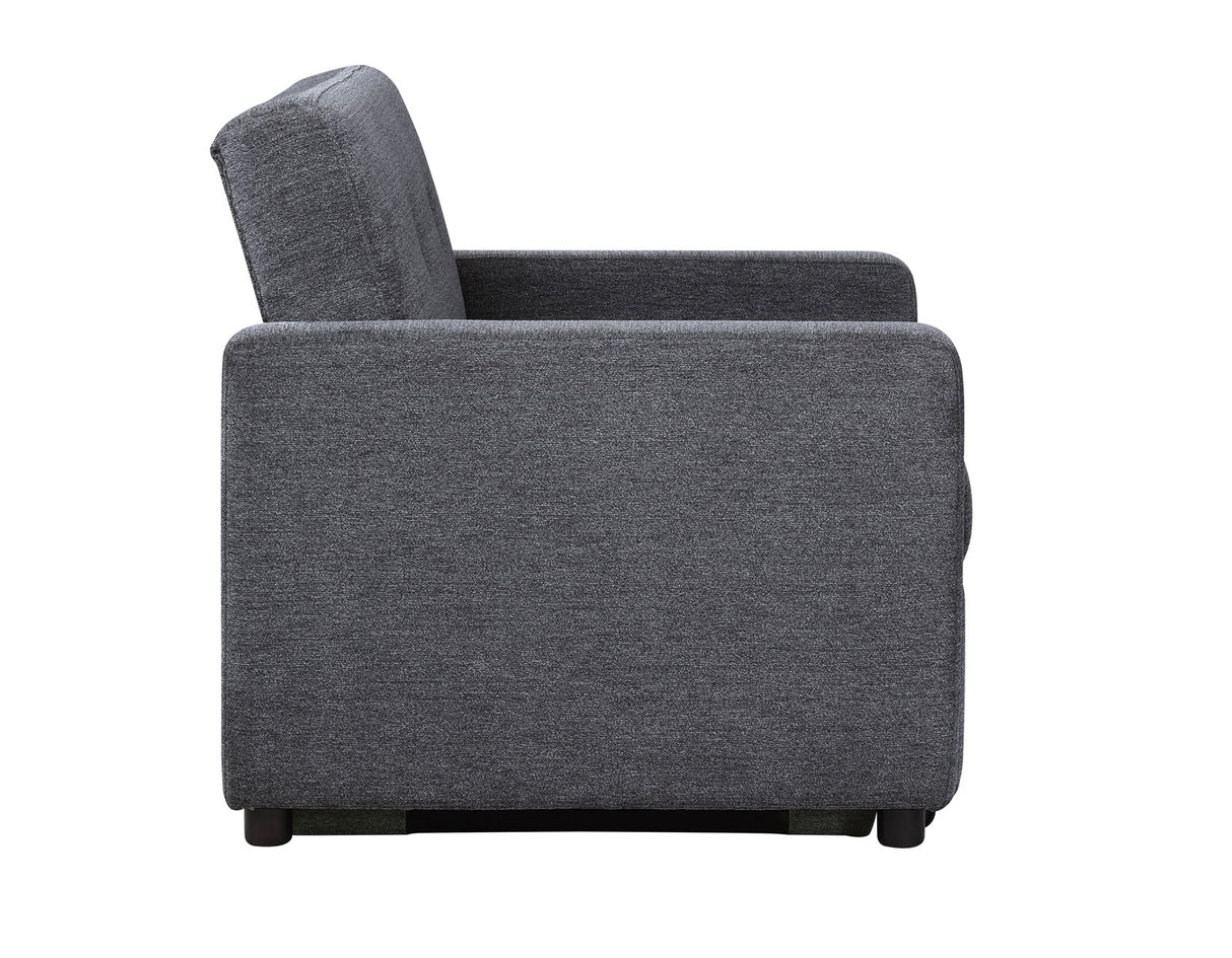 Noah Convertible Sleeper Chair-and-a-Half, Gray - NOA800GCT