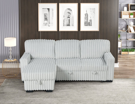 Poland Gray Reversible Sectional With Pull-Out Bed from Happy Homes - Luna Furniture