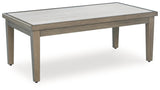 Rainier Ranch Brown/Beige Outdoor Coffee Table from Ashley - Luna Furniture