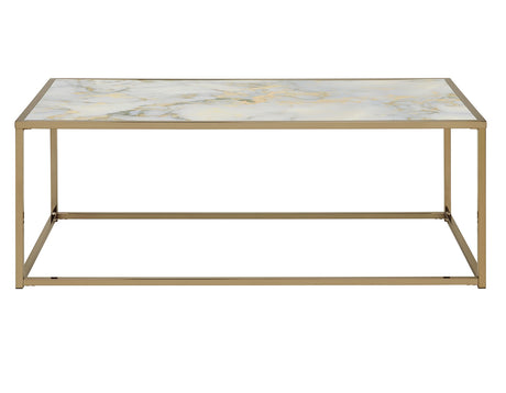 Salvador Faux-Marble Coffee Table - SV200C