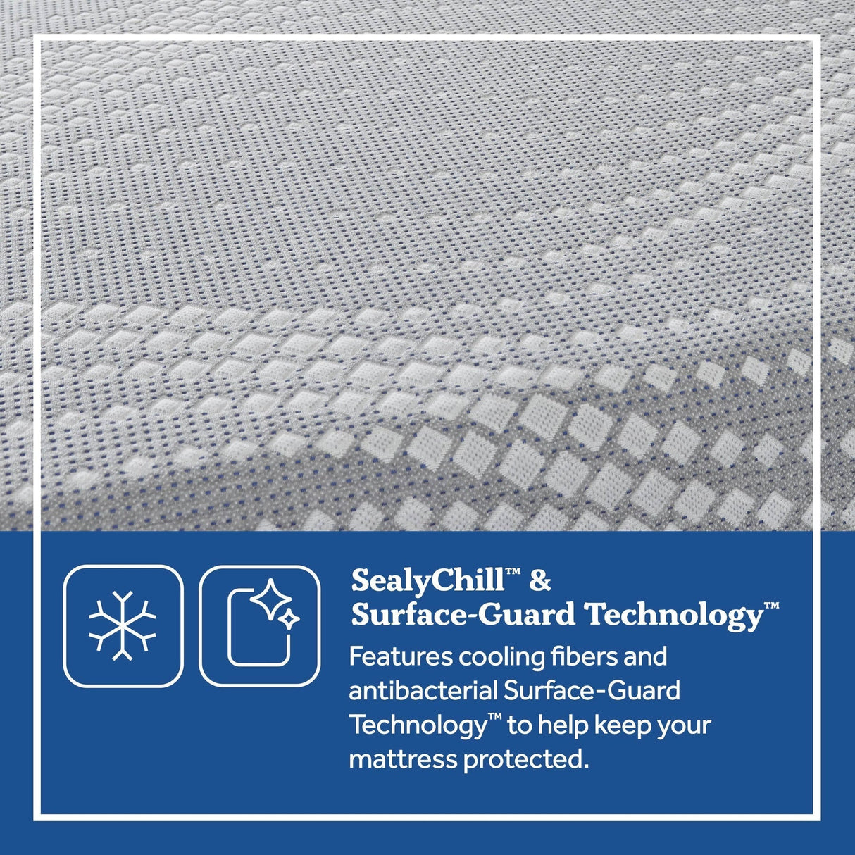 Sealy® Posturepedic® Foam Lacey 13" Firm Mattress, Twin Size -  Sealy - Luna Furniture