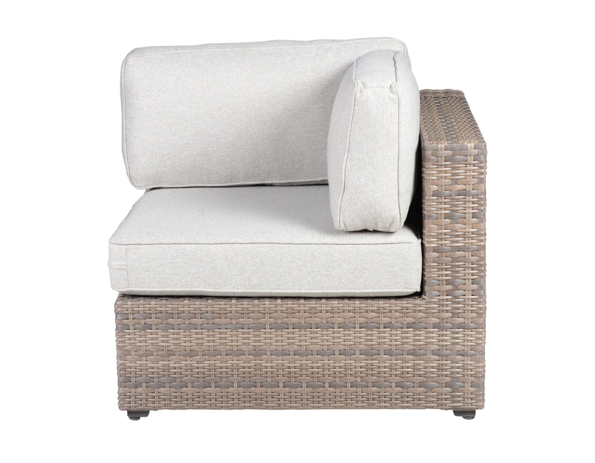 Tamyra Resin Wicker Patio Arm Chairs from Steve Silver - Luna Furniture