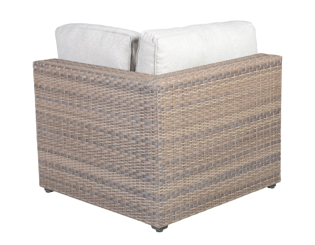 Tamyra Resin Wicker Patio Arm Chairs from Steve Silver - Luna Furniture