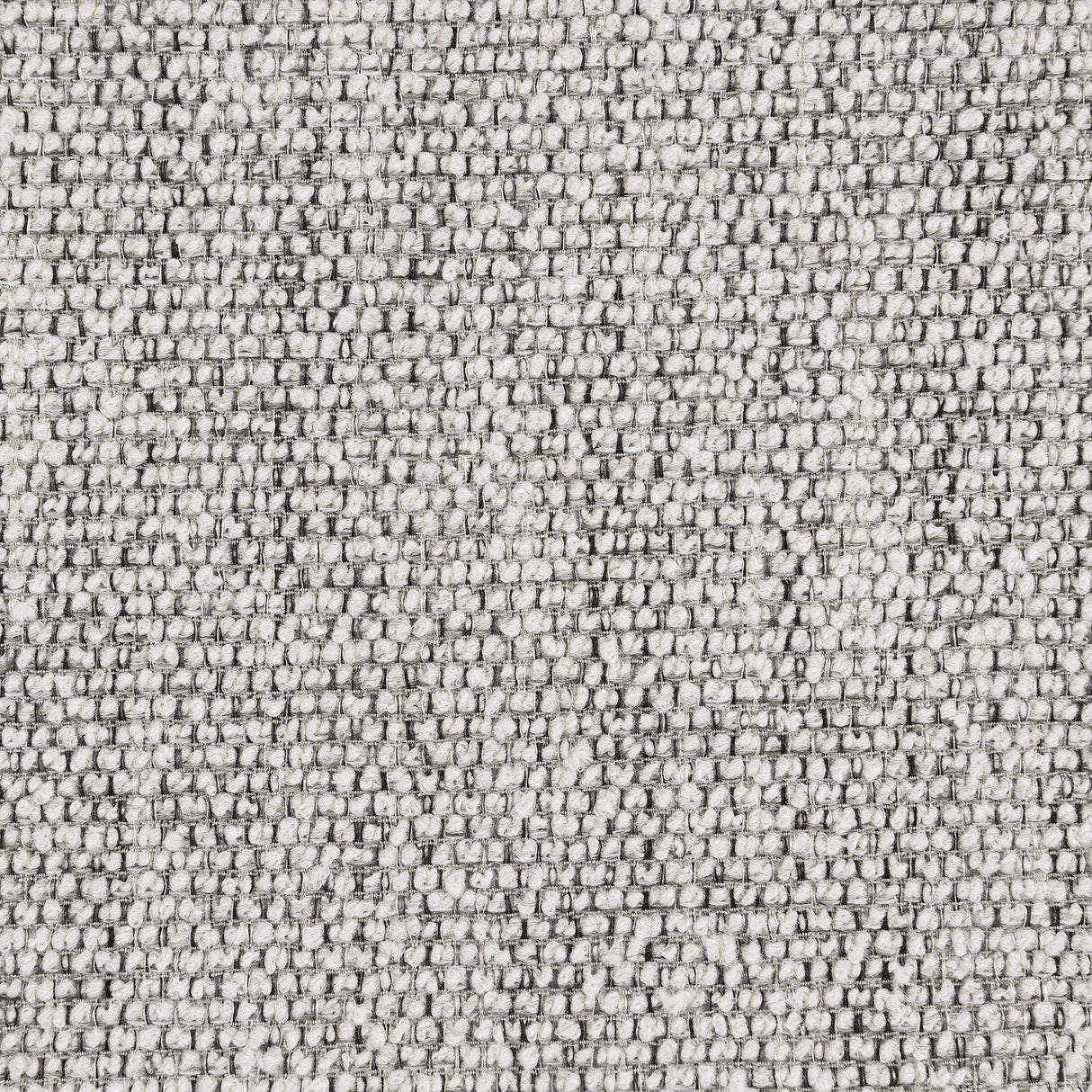 Tomkins Light Grey Boucle Upholstered Chair from Coaster - Luna Furniture