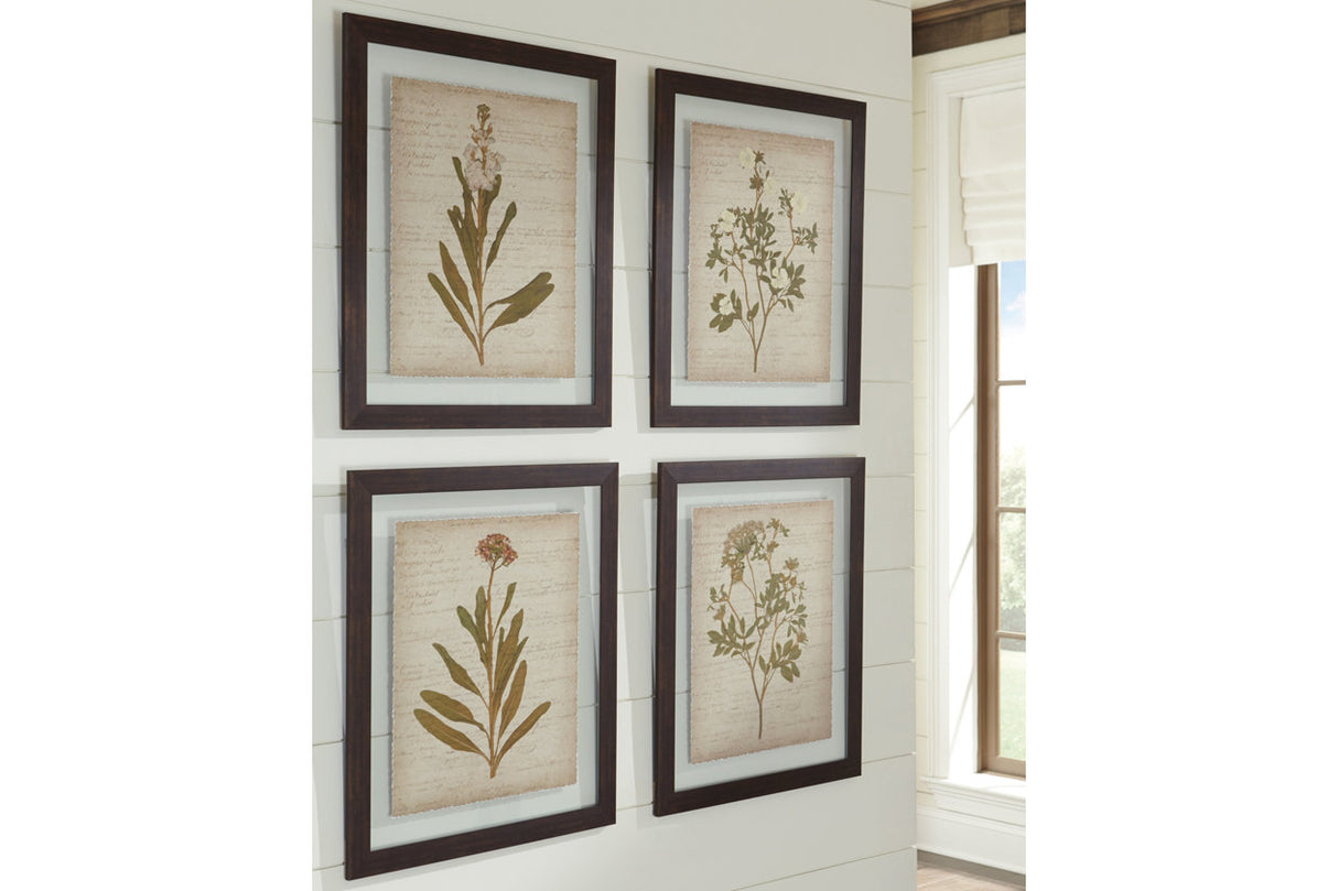 Dyani Multi Wall Art, Set of 4 -  - Luna Furniture