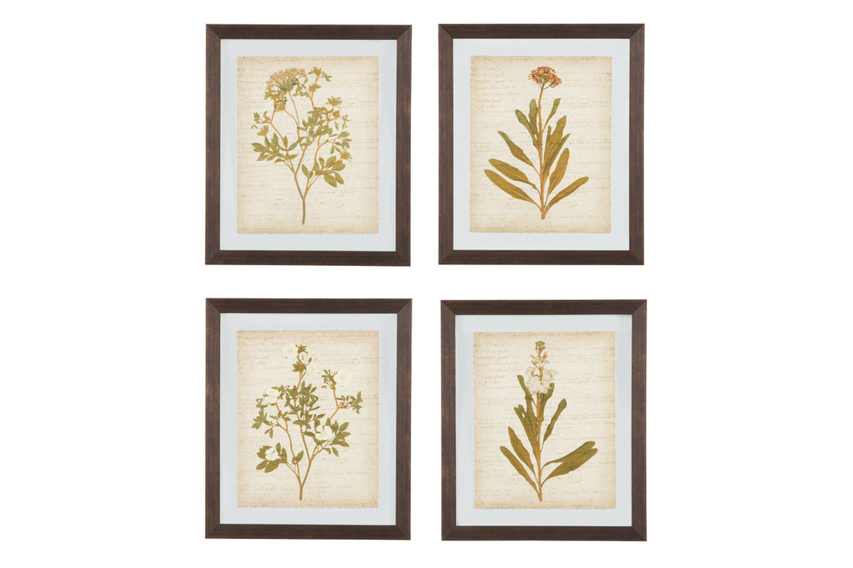 Dyani Multi Wall Art, Set of 4 -  - Luna Furniture