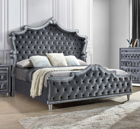 Antonella Upholstered Tufted California King Bed Grey - 223581KW - Luna Furniture