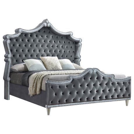 Antonella Upholstered Tufted Queen Bed Grey - 223581Q - Luna Furniture