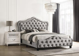 Bella Upholstered Tufted Panel Bed Grey - 315871Q - Luna Furniture