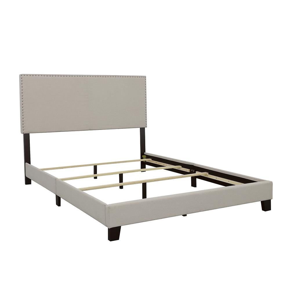 Boyd California King Upholstered Bed with Nailhead Trim Ivory from Coaster - Luna Furniture