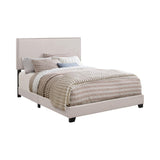 Boyd California King Upholstered Bed with Nailhead Trim Ivory from Coaster - Luna Furniture