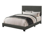 Boyd Eastern King Upholstered Bed with Nailhead Trim Charcoal from Coaster - Luna Furniture