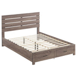 Brantford Queen Storage Bed Barrel Oak from Coaster - Luna Furniture