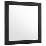 Caraway Dresser Mirror Black from Coaster - Luna Furniture