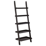 Colella Cappuccino 3-Piece Storage Ladder Bookcase Set from Coaster - Luna Furniture