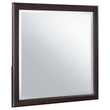 Emberlyn Dresser Mirror Brown from Coaster - Luna Furniture