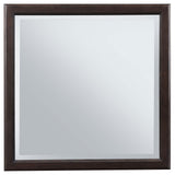 Emberlyn Dresser Mirror Brown from Coaster - Luna Furniture