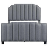 Fiona Upholstered Panel Bed Light Gray from Coaster - Luna Furniture