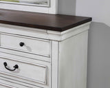 Hillcrest 9-drawer Dresser with Mirror Dark Rum and White from Coaster - Luna Furniture