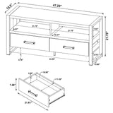 James 2-drawer Composite Wood 48" TV Stand Antique Pine from Coaster - Luna Furniture