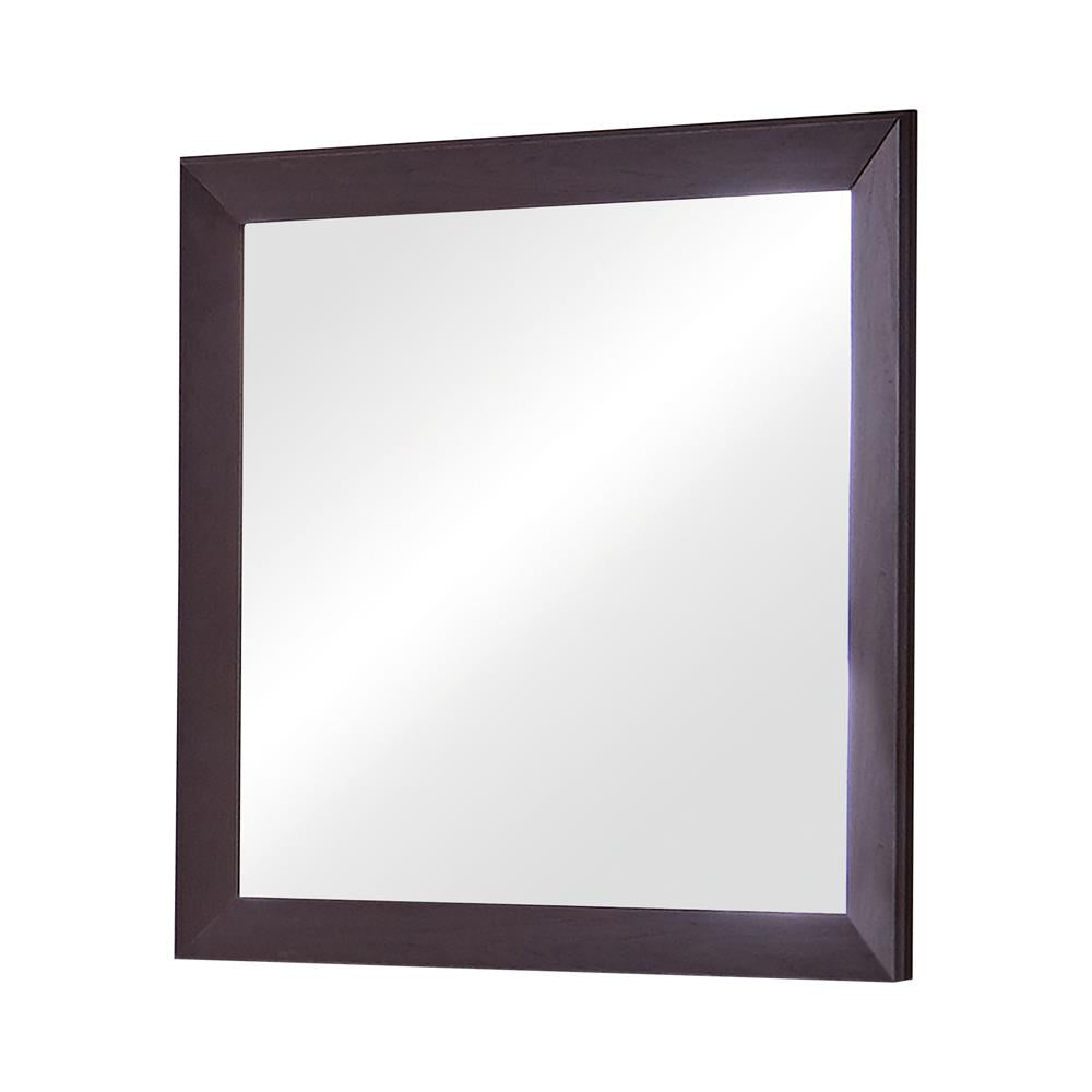 Kauffman Dark Cocoa Rectangular Mirror from Coaster - Luna Furniture