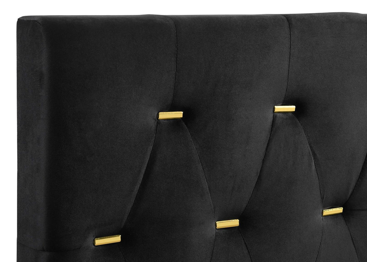 Kendall 4-piece Tufted Panel Queen Bedroom Set Black and Gold - 224451Q-S4 - Luna Furniture