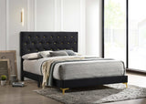 Kendall Tufted Panel Eastern King Bed Black/Gold from Coaster - Luna Furniture