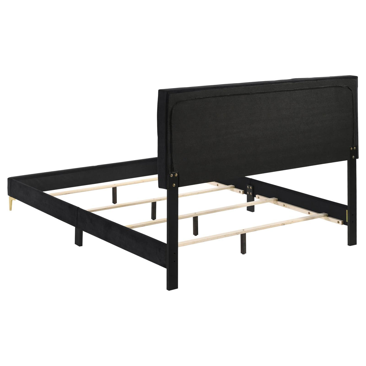 Kendall Tufted Panel Eastern King Bed Black/Gold from Coaster - Luna Furniture