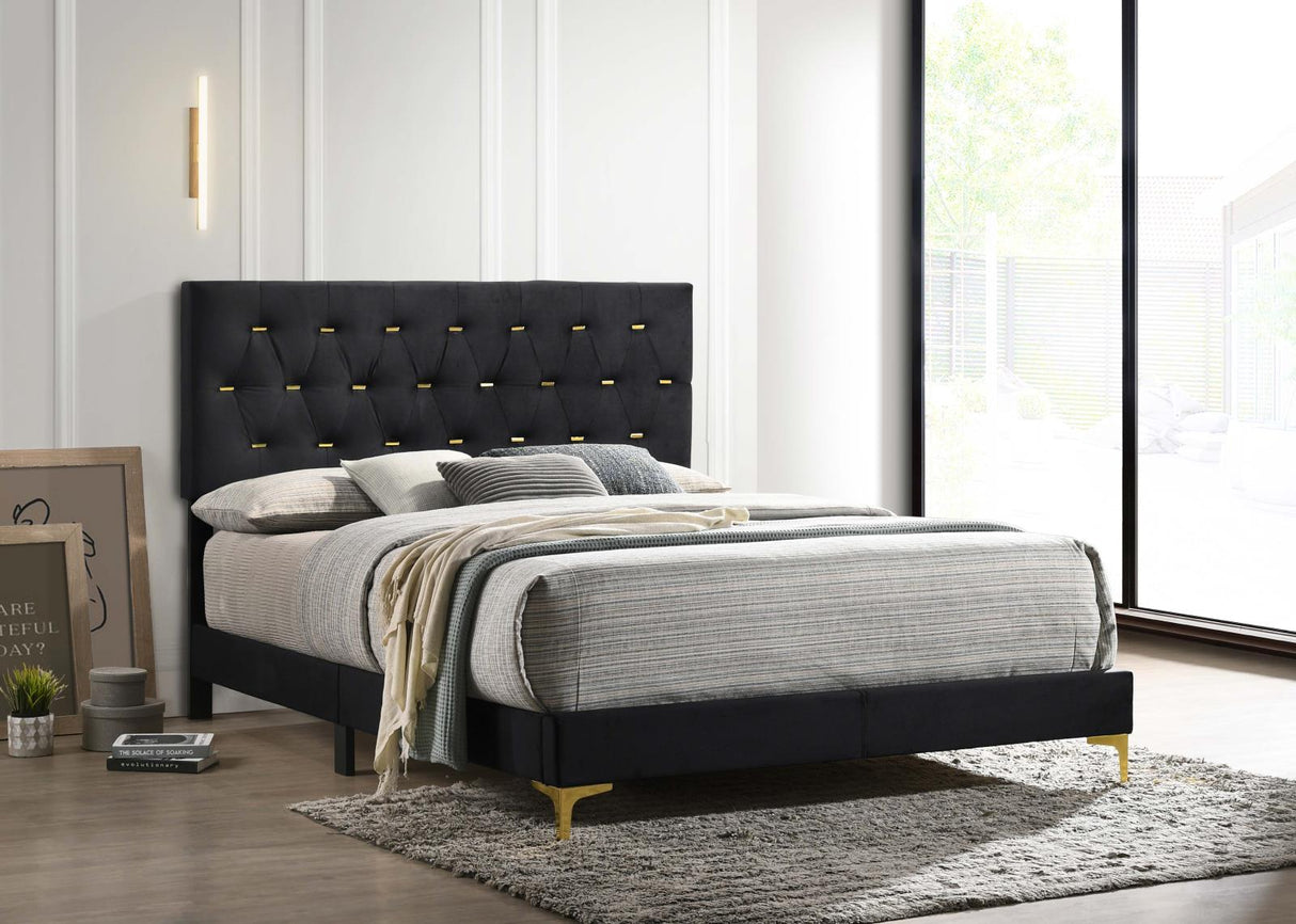 Kendall Tufted Panel Queen Bed Black and Gold - 224451Q - Luna Furniture