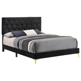 Kendall Tufted Panel Queen Bed Black and Gold - 224451Q - Luna Furniture