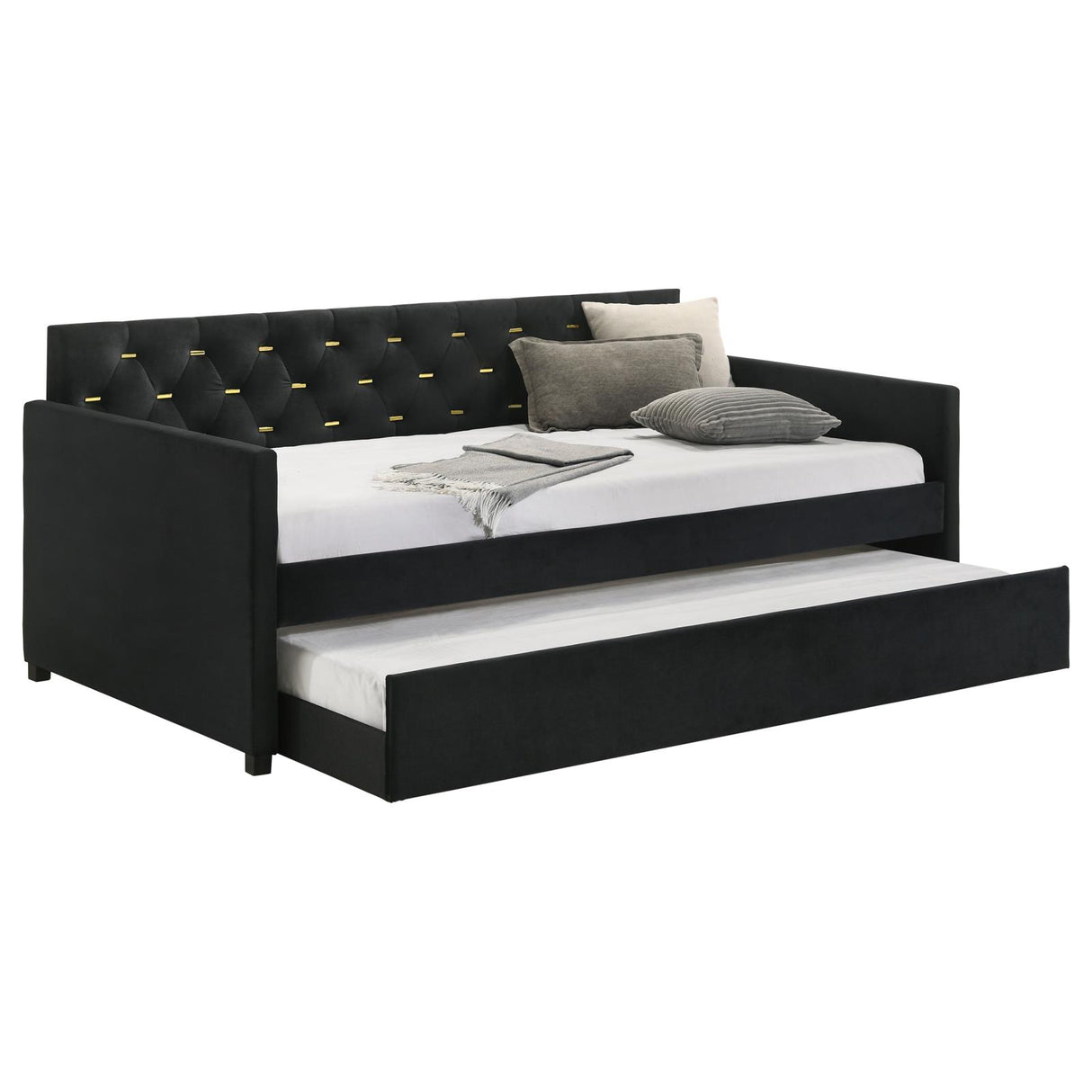 Kendall Upholstered Tufted Twin Daybed with Trundle Black from Coaster - Luna Furniture