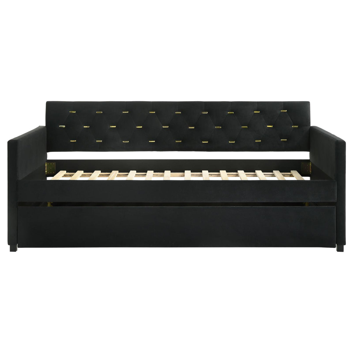 Kendall Upholstered Tufted Twin Daybed with Trundle Black from Coaster - Luna Furniture