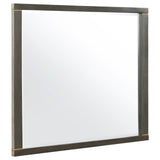 Kieran Dresser Mirror Grey from Coaster - Luna Furniture