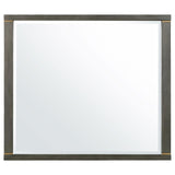 Kieran Dresser Mirror Grey from Coaster - Luna Furniture