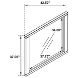 Kieran Dresser Mirror Grey from Coaster - Luna Furniture