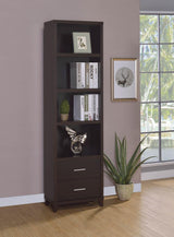 Lewes 2-drawer Media Tower Cappuccino - 700882 - Luna Furniture