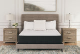 Limited Edition Plush White California King Mattress - M41151 - Luna Furniture