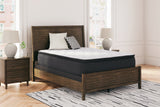 Limited Edition PT White California King Mattress from Ashley - Luna Furniture