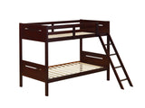 Littleton Espresso Twin/Twin Bunk Bed from Coaster - Luna Furniture