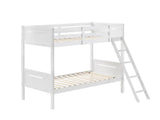 Littleton White Twin/Twin Bunk Bed from Coaster - Luna Furniture