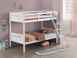 Littleton White Twin/Twin Bunk Bed from Coaster - Luna Furniture