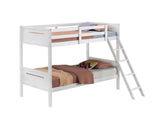 Littleton White Twin/Twin Bunk Bed from Coaster - Luna Furniture